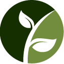 Bush Pruning Pros