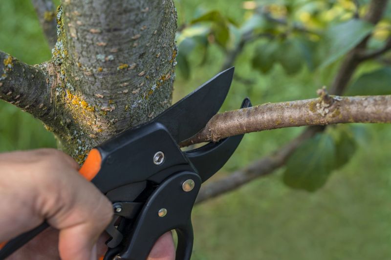 Disposal of Prunings